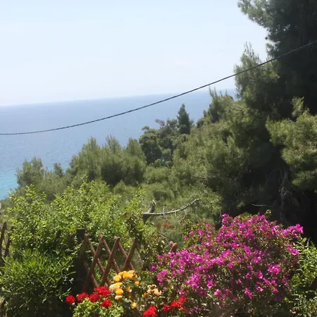 Family Sea View